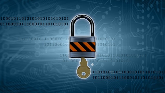 Free security technology risk management illustration