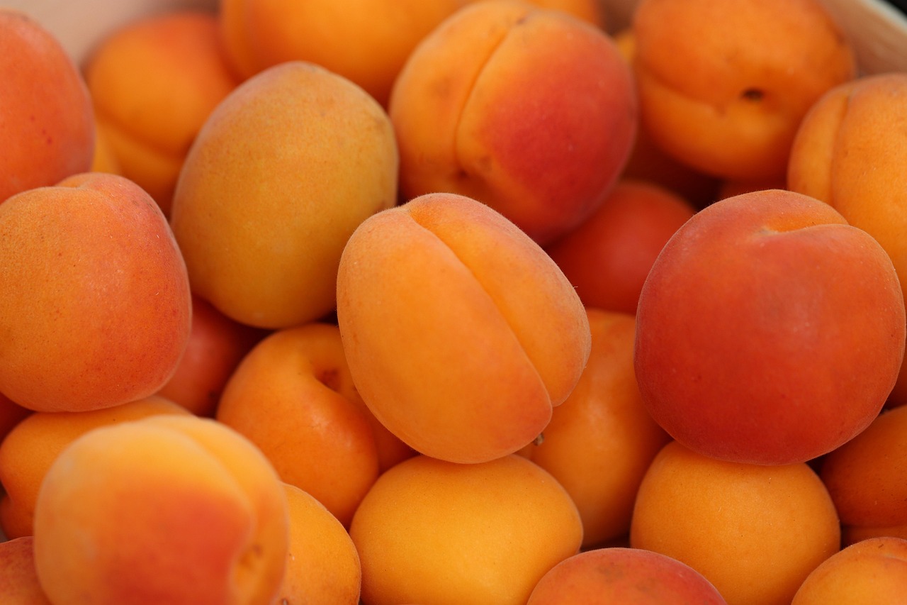 1 000 Free Apricots Apricot Tree Images Pixabay