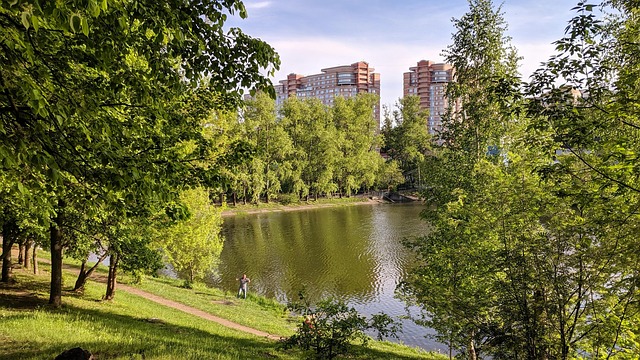 Teich, Fluss, Landschaft, Forests, Grün