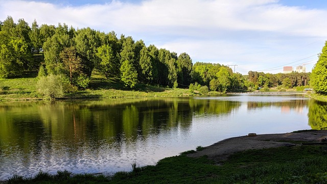 Teich, Fluss, Landschaft, Forests, Grün