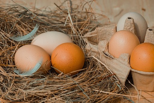 chicken-eggs-4212132__340.jpg