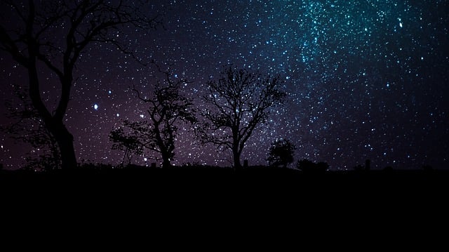 Download free HD stock image of Night Night Sky Free night night sky sky illustration