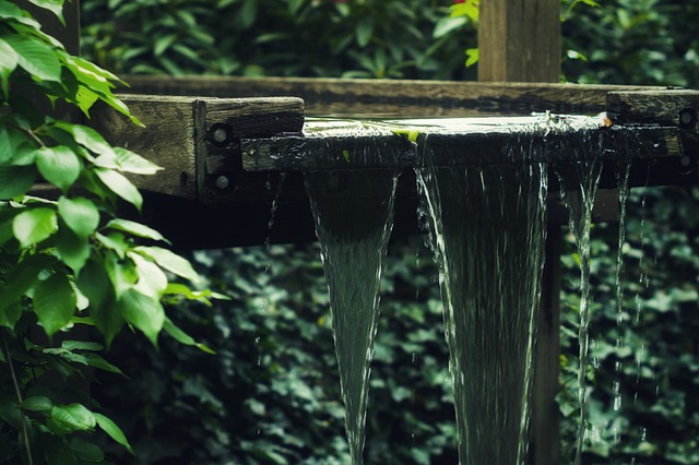 Water, Val, Hout, Natuur, Kreek, Tuin