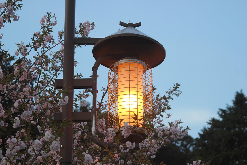 Cerisier Sakura Avril Photo Gratuite Sur Pixabay