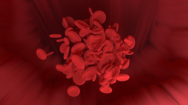 Free Red Blood Cell Vessel illustration and picture