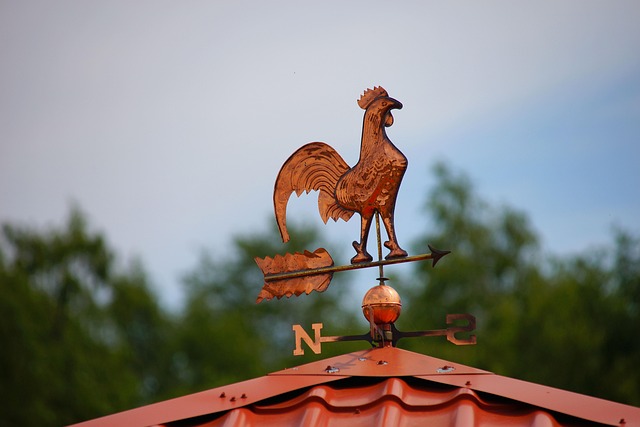 Free Weathercock Copper photo and picture