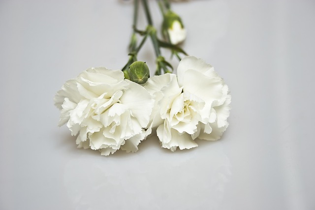 Free Flowers Cereal photo and picture
