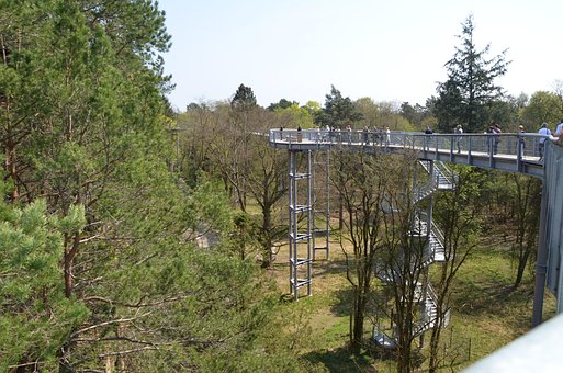 Tretopsti, Skov, Landskab