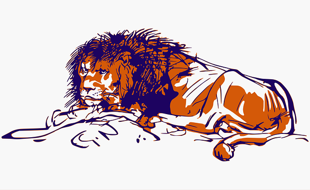 Løve, Dyr, Afrika, Rovdyr, Zoo, Kat
