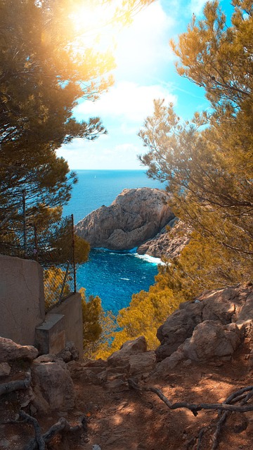 Free Sea Sun photo and picture