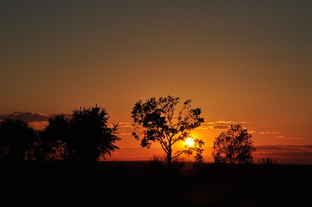Free Sun Heaven photo and picture