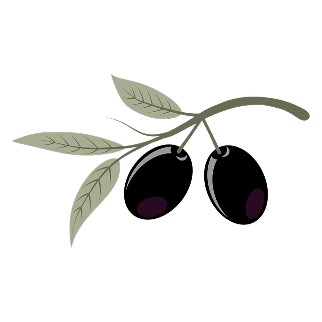 Free olives fruits plant illustration