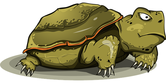 Free turtle amphibious tortila vector