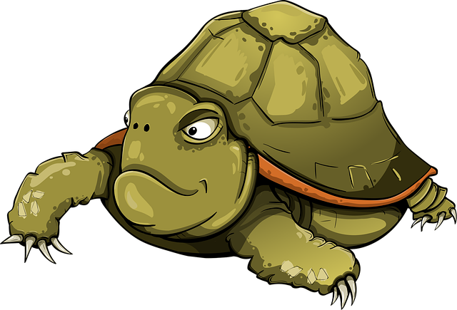 Free turtle amphibious tortila vector