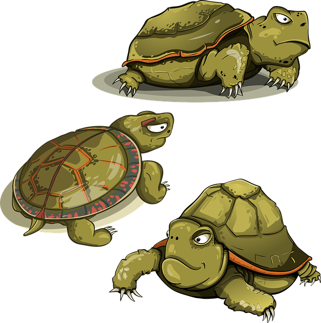 Free turtle amphibious kit vector