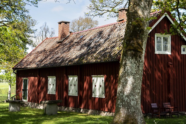 Free Sweden Nature photo and picture