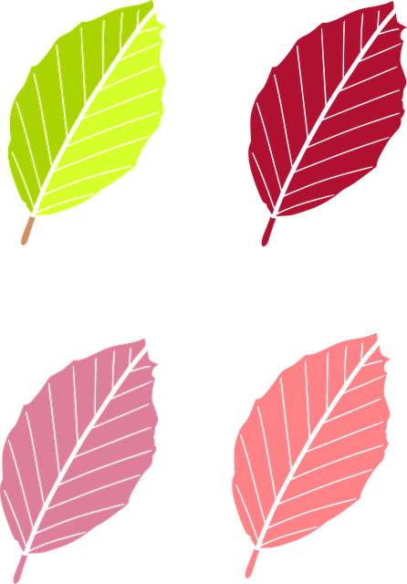 Hoja, Otoño, Naturaleza, Sale De, Color