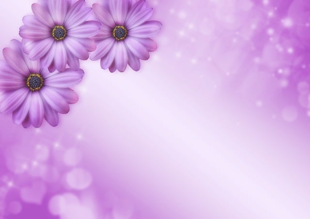 Blumen, Bokeh, Glitzern, Lila, Rosa