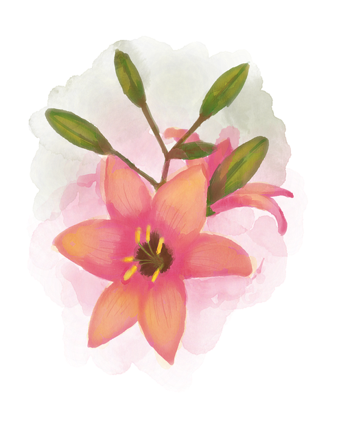 Free watercolour flower bouquet floral illustration