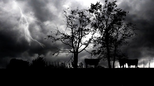 Free night storm landscape illustration