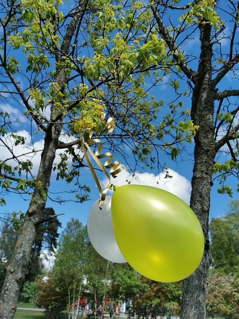 Free Balloon Tree photo and picture