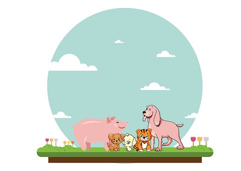 Dyr, Gris, Svinekjøtt, Hund, Cat, Himmel