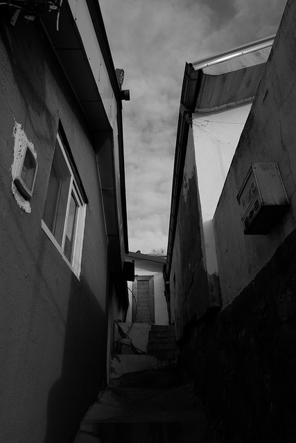 Free Ally Alley photo and picture