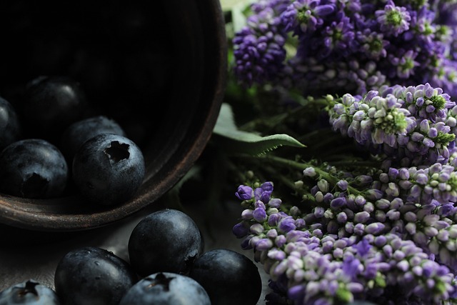 Free Blueberries Fruit photo and picture