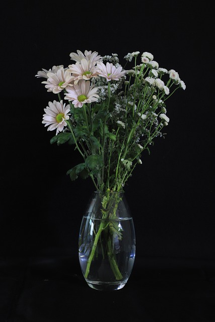 Blume, Vase, Strauß, Stillleben