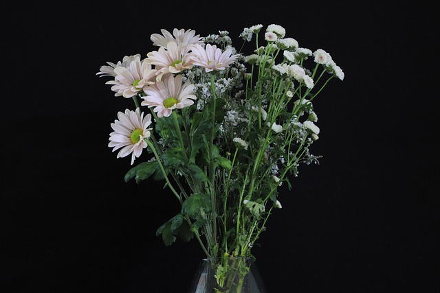 Leben, Blume, Natur, Pflanze, Sommer
