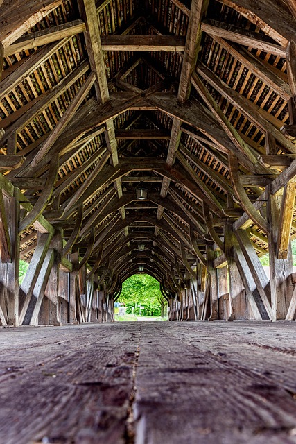 Free Bridge Wood photo and picture