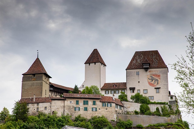 Free Castle Burgdorf photo and picture