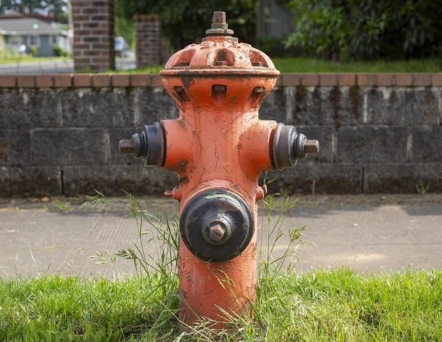 Free Fire Hydrant Orange photo and picture