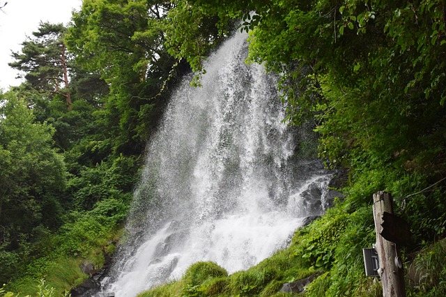 Free Water Waterfall photo and picture