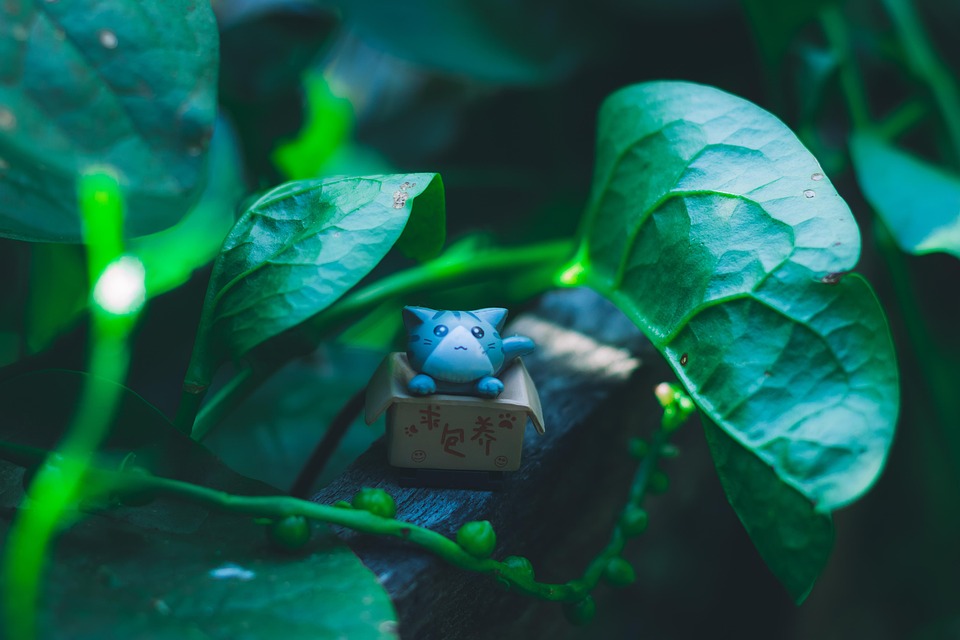 淫星档案免费下载