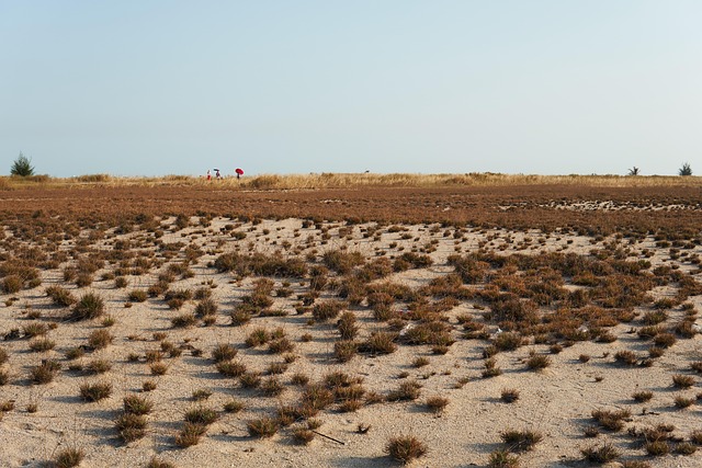 Deserto, Panorama, Natureza, Seco, Areia
