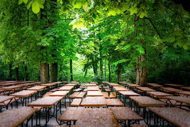 Park, Bänke, Tische, Wald, Bäume