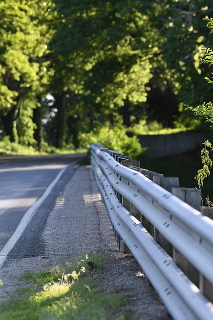 Free Bridge Road photo and picture