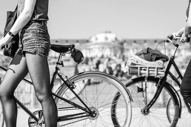 Free Bicycle Summer photo and picture
