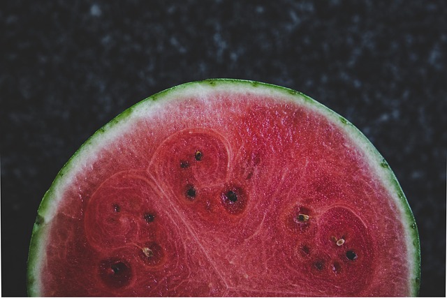 Free Melon Fruit photo and picture