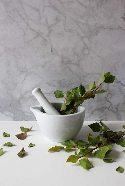 Free Mortar Medicinal Plant photo and picture