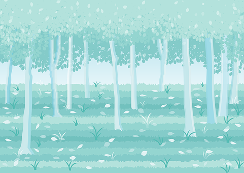 Floresta, Azul, Natureza, Verde, Árvores
