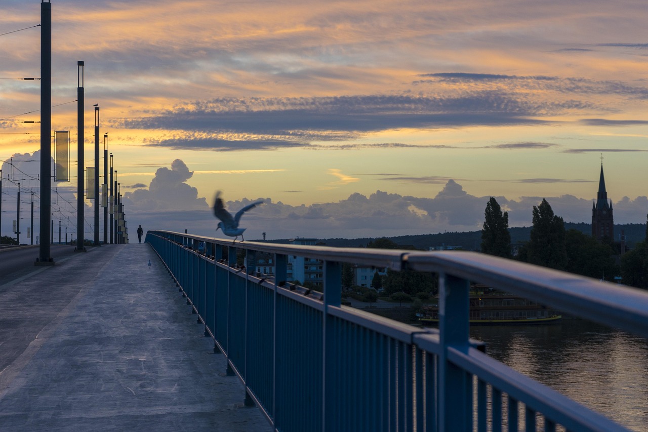 Bridge - free online jigsaw puzzle photo