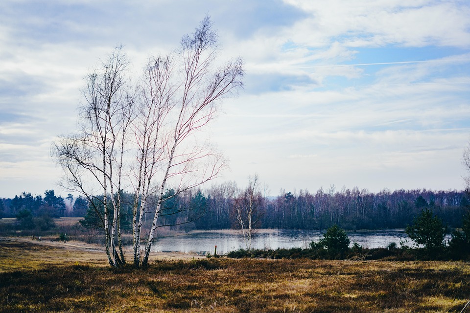 lake-4246222_960_720.jpg