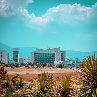 Free Camino Real Nature photo and picture
