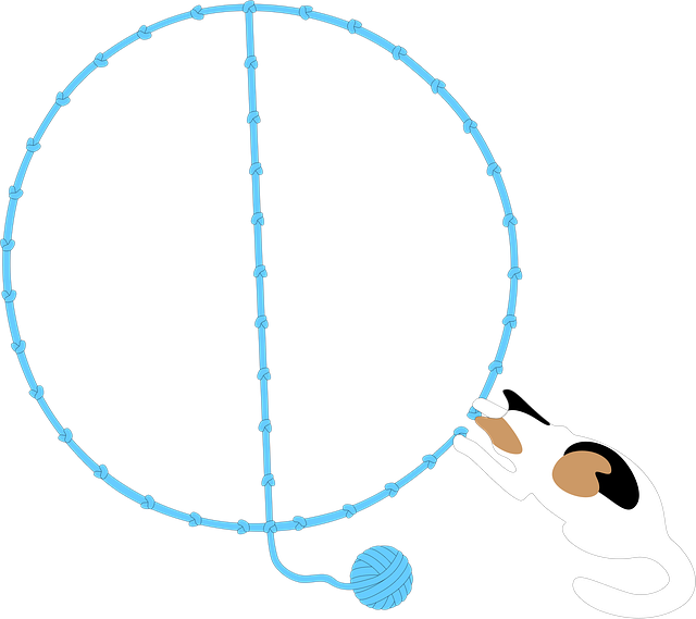Free the number pi circumference measurement illustration