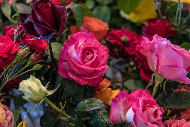 Free Rose Bouquet photo and picture