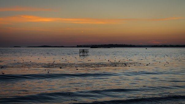 Free Lying Sun photo and picture
