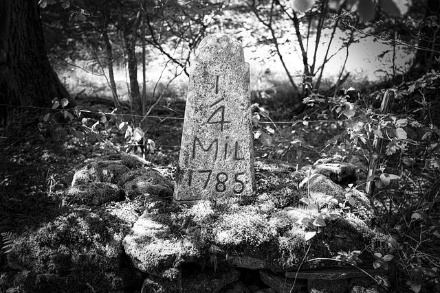 Free Milestone Ancient Memory photo and picture
