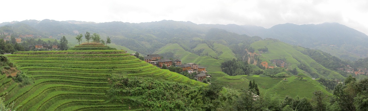Rice China Landscape - Free photo on Pixabay - Pixabay